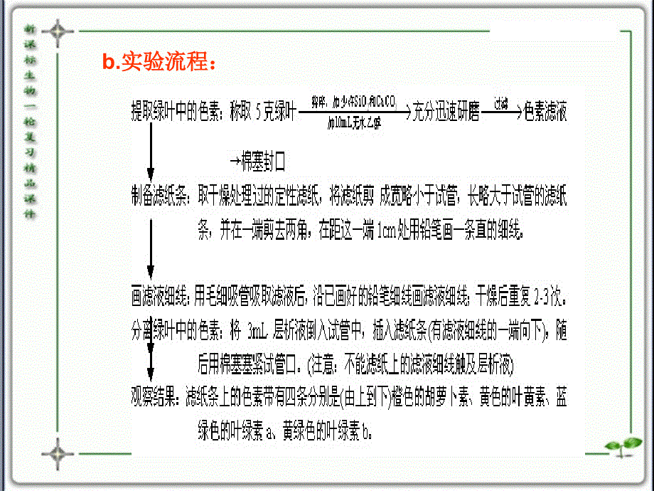 人教版教学课件云南省弥勒县庆来中学2011-2012学年高一生物-5.3.2-植物有效成分的提取及光合作用_第4页