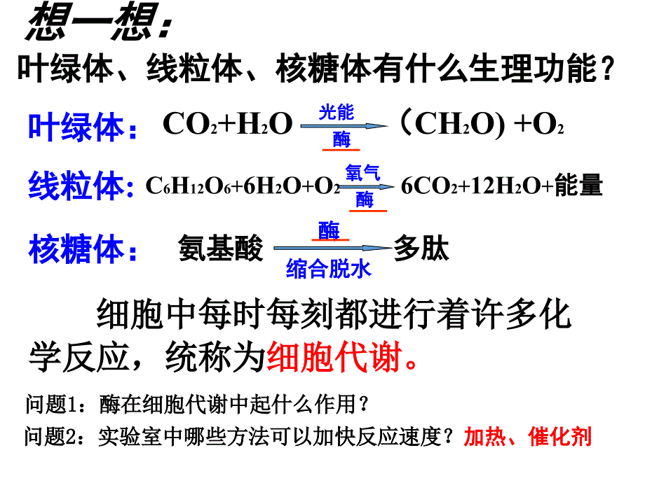 高中生物(人教版)必修1第5章第1节降低化学反应活化能的酶课件_第3页