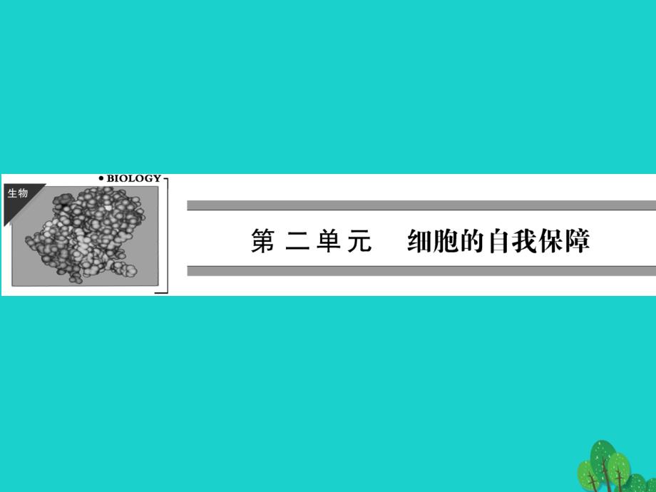 2017年高中生物第二单元细胞的自我保障第一章细胞中的蛋白质211蛋白质的结构与功能中图版_第1页