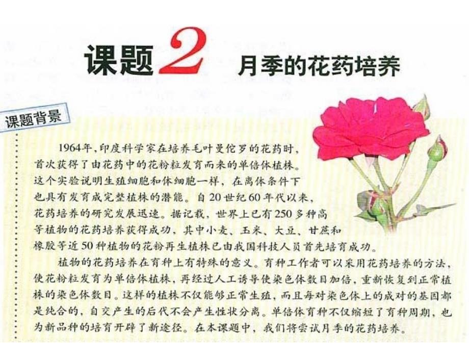 3.2《月季的花药培养》+课件+冯惠坚_第1页