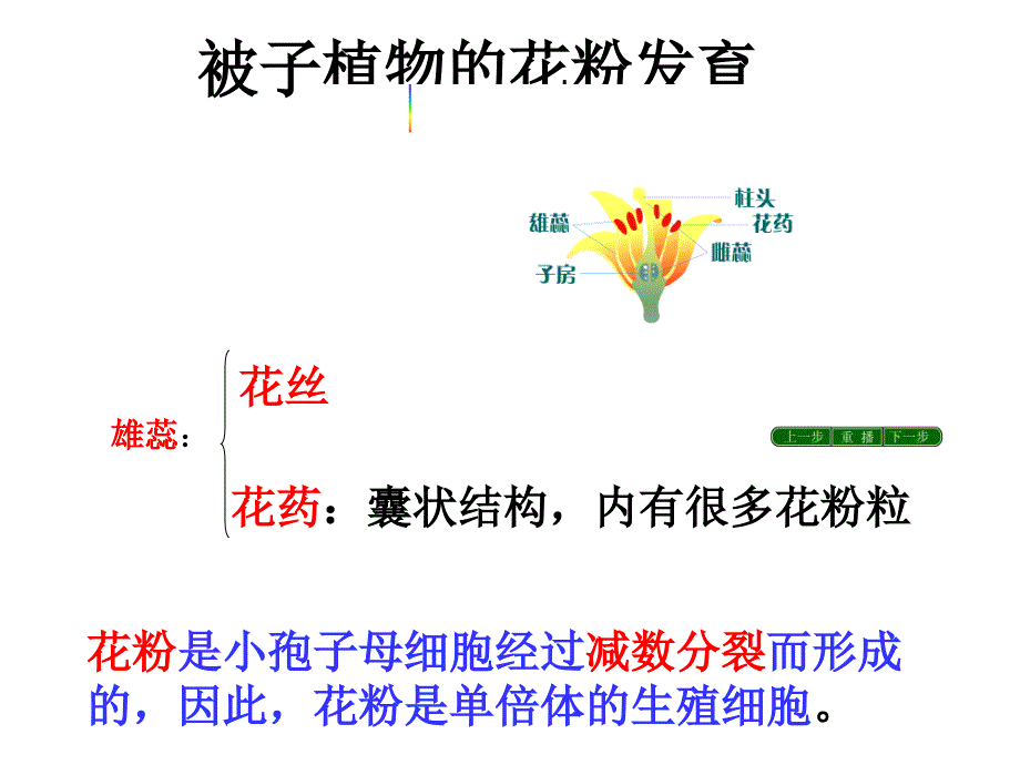 3.2《月季的花药培养》+课件+冯惠坚_第2页