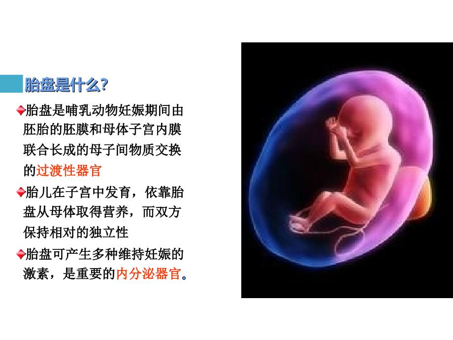 胎儿血液循环图解..课件_第4页