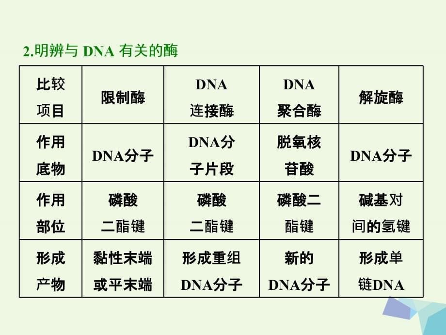 2017届高考生物一轮复习现代生物科技专题第一讲基因工程课件选修3课件_第5页