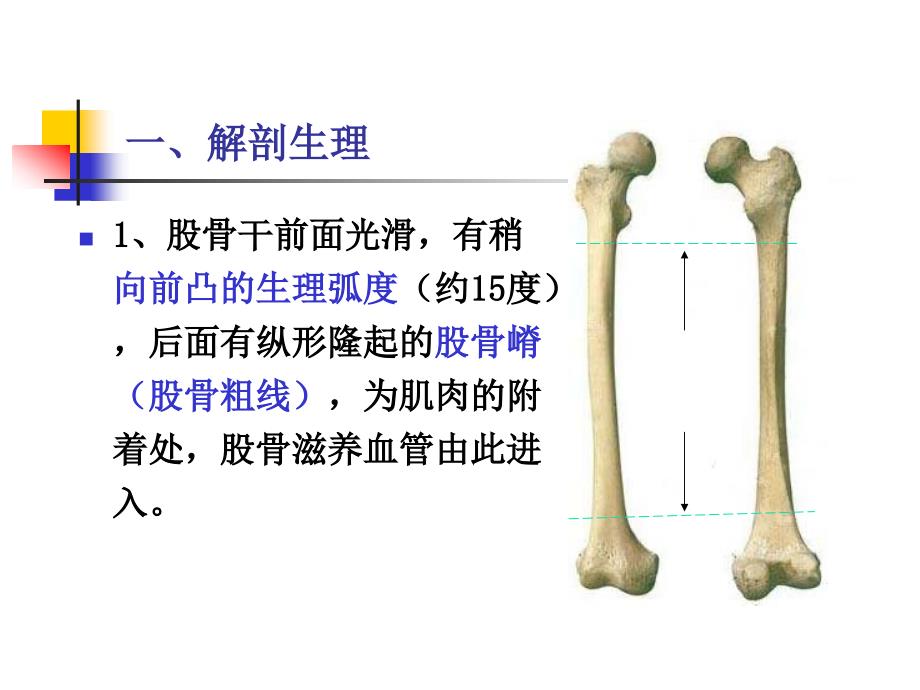 中医伤科学-股骨干骨折课件_第2页