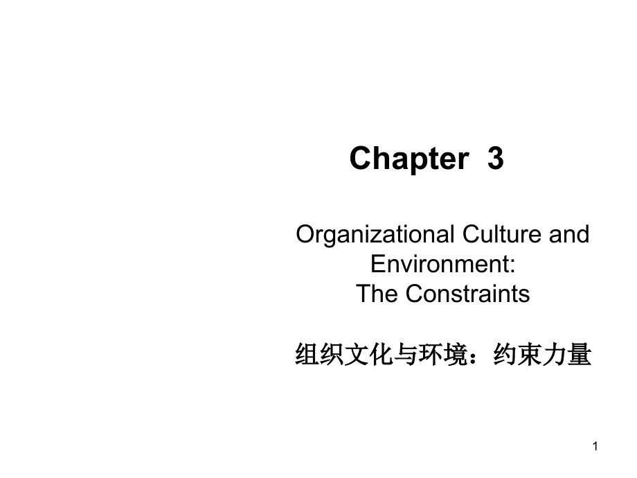 管理学英文版课件-组织文化与环境-organizational-culture-and-environment_第1页