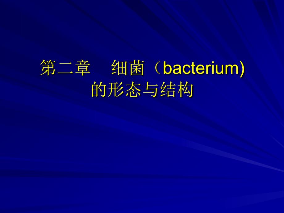 细菌的形态与结构-细菌-医学微生物学-02_第1页