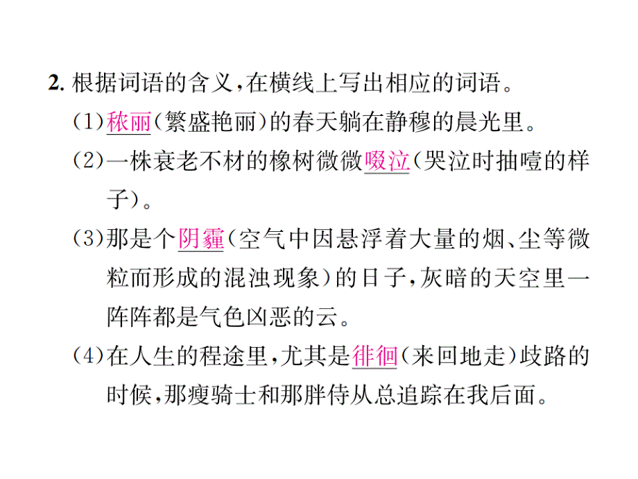 2018届语文版九年级语文下册习题课件：10读堂吉诃德_第3页