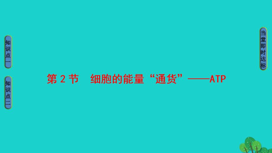 2016-2017学年高中生物第5章细胞的能量供应和利用第2节细胞的能量“通货”--atp课件_第1页