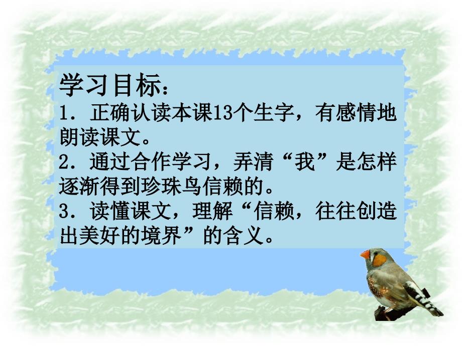 21《珍珠鸟》课件_ppt_第4页