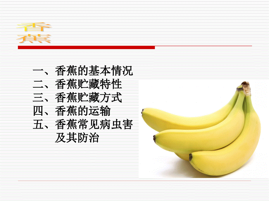 香蕉贮藏与运输_第2页