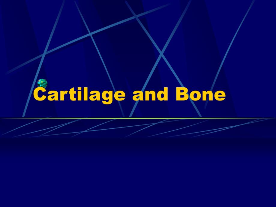 软骨和骨--组织学和胚胎学_第1页