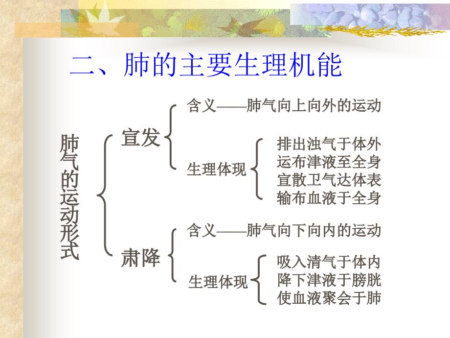 中医理论课件-肺课件_第3页