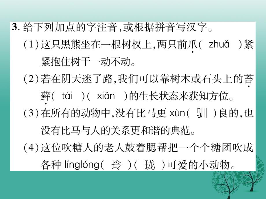 2017年七年级语文下册 专题复习一 拼音与汉字课件 苏教版_第4页