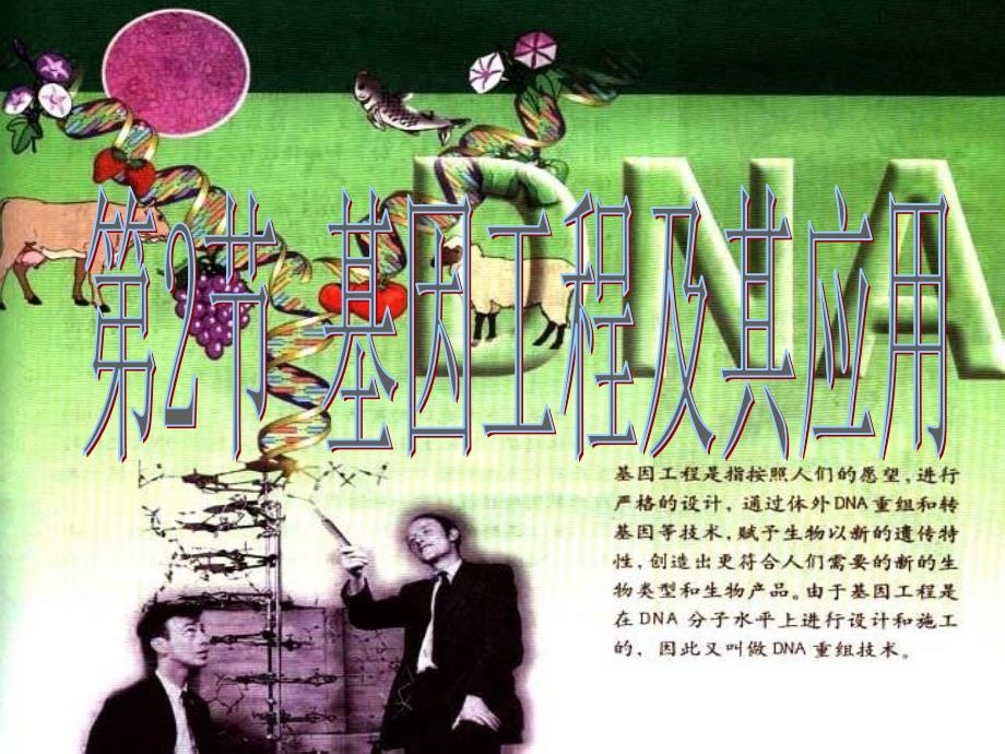 高中生物《第六章-第二节-基因工程及其应用》课件1-新人教版必修2_第1页