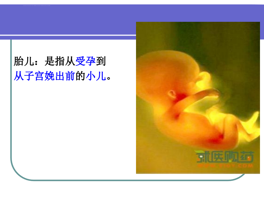 胎儿心理的发展——2010级课件_第4页