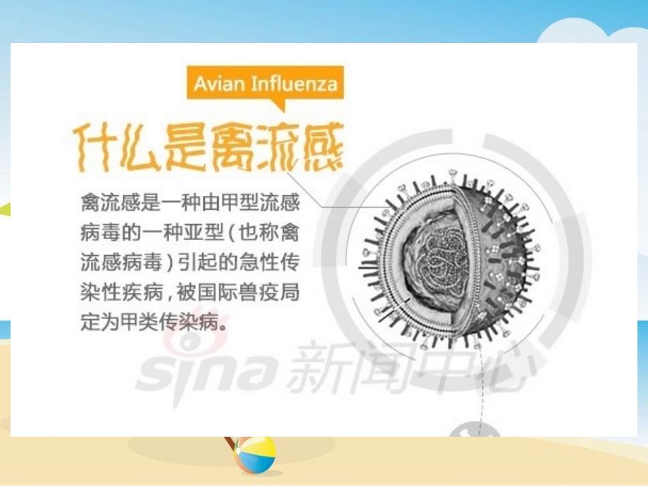 马小五甲h7n9禽流感的预防和治疗主题班会_第4页