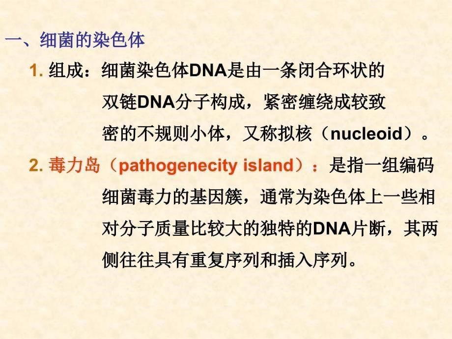 细菌的遗传与变异_2_第5页