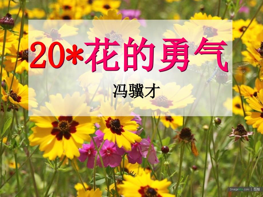 20、花的勇气(完美)_第3页