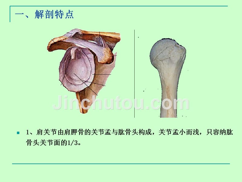 中医学课件-肩关节脱位课件_第2页