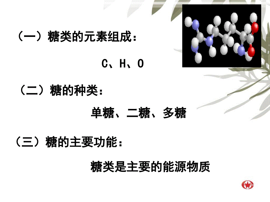 细胞中的糖类和脂质课件2（必修1）_第4页