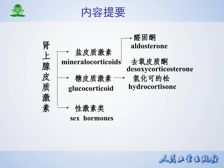 肾上腺皮质激素类药物_1 (2)_第5页