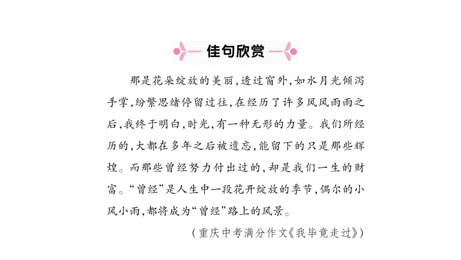 2018年春人教版成都语文八年级下册作业19登勃朗峰共47张_第3页