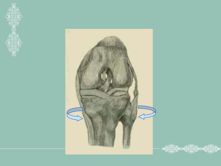 中医学课件-膝关节半月板损伤课件_第4页