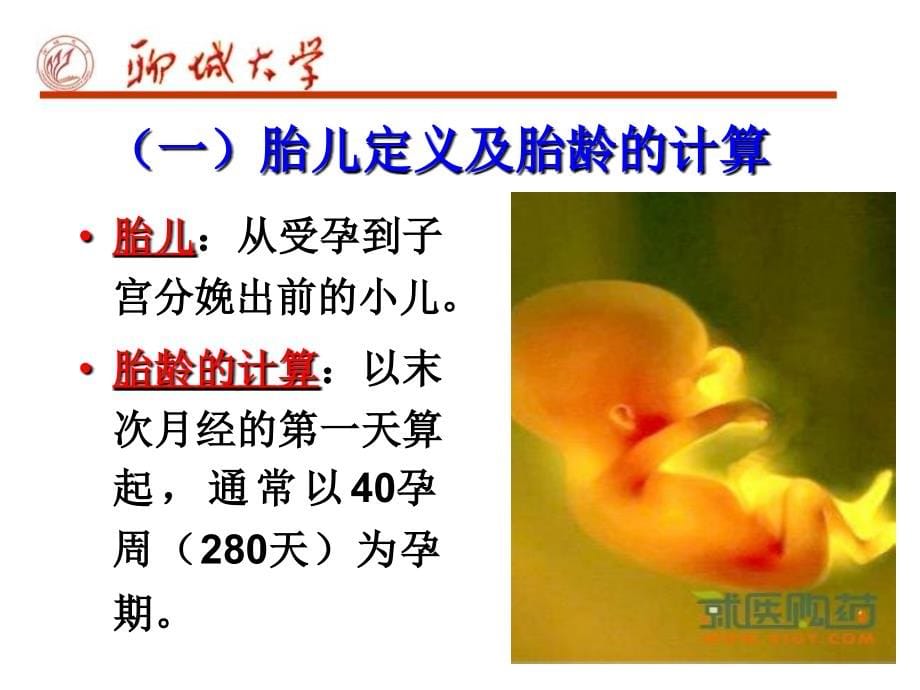 胎儿期生理心理发展（）课件_第5页