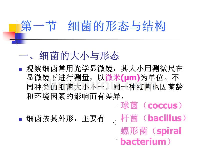 细菌的基本性状细菌形态学_第2页