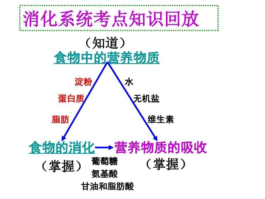 课件【生物圈人】_第5页