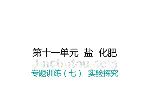 2018年春九年级化学江西人教版下册第十一单元专题训练七实验探究