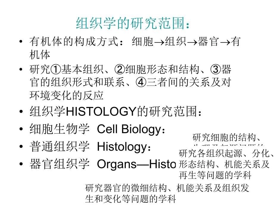 组织胚胎学-组织(tang2007)1_第5页