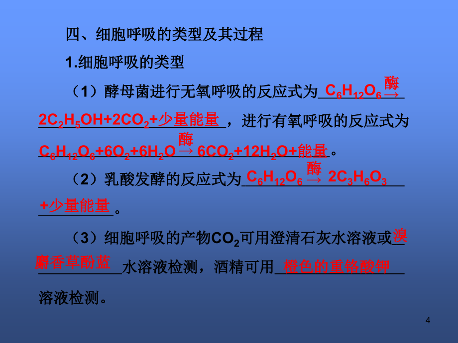 高三生物二轮复习课件：光合作用和细胞呼吸_第4页