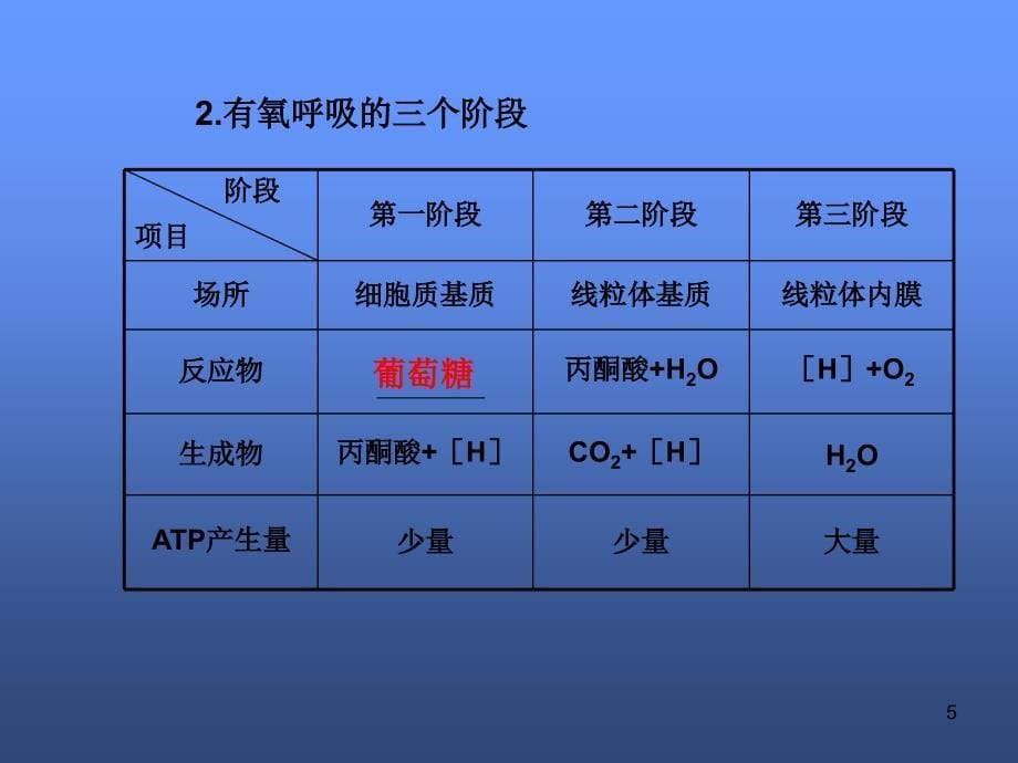 高三生物二轮复习课件：光合作用和细胞呼吸_第5页