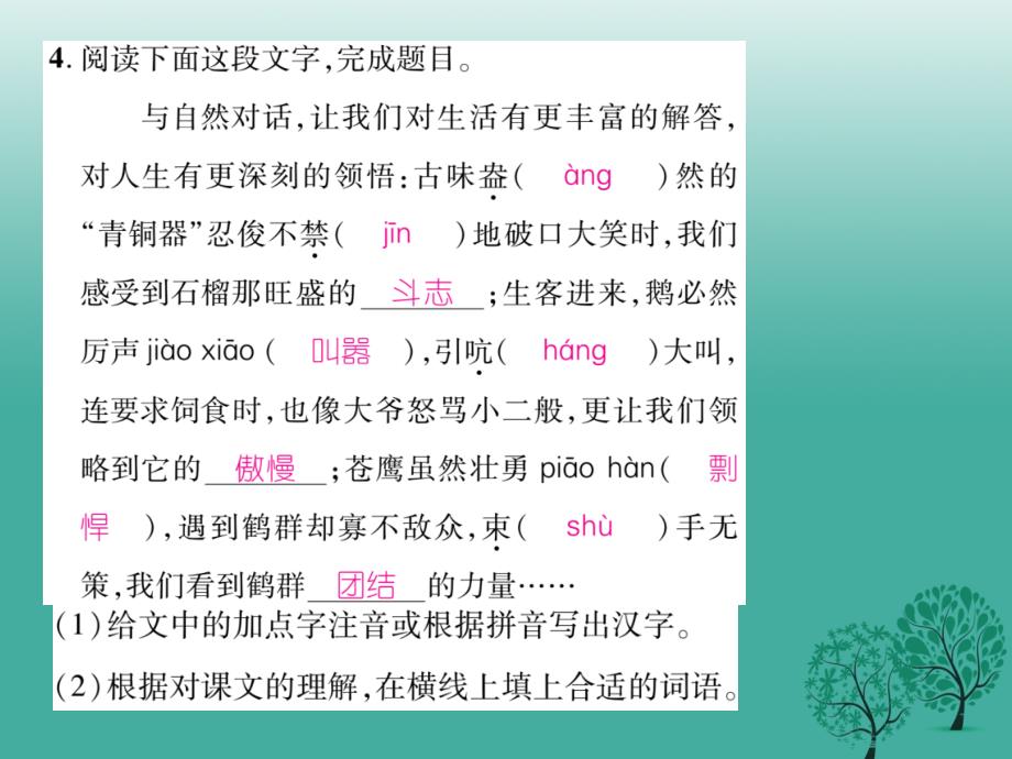 2017年七年级语文下册专题复习一拼音与汉字语文版_第4页