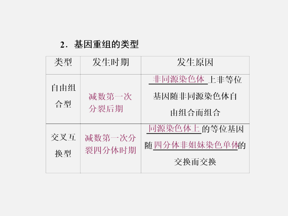 2017-2018学高一生物苏教版必修二课件：第四章第四节第二讲基因重组基因工程及其应用_第3页