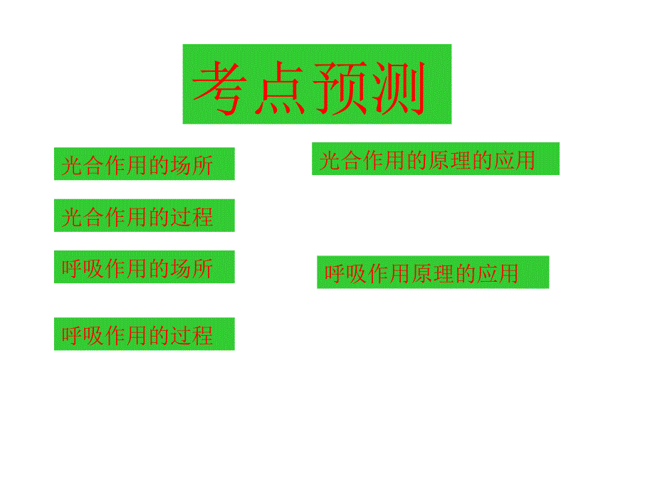 高考生物二轮专题复习课件：光合作用与呼吸作用的关系_第2页