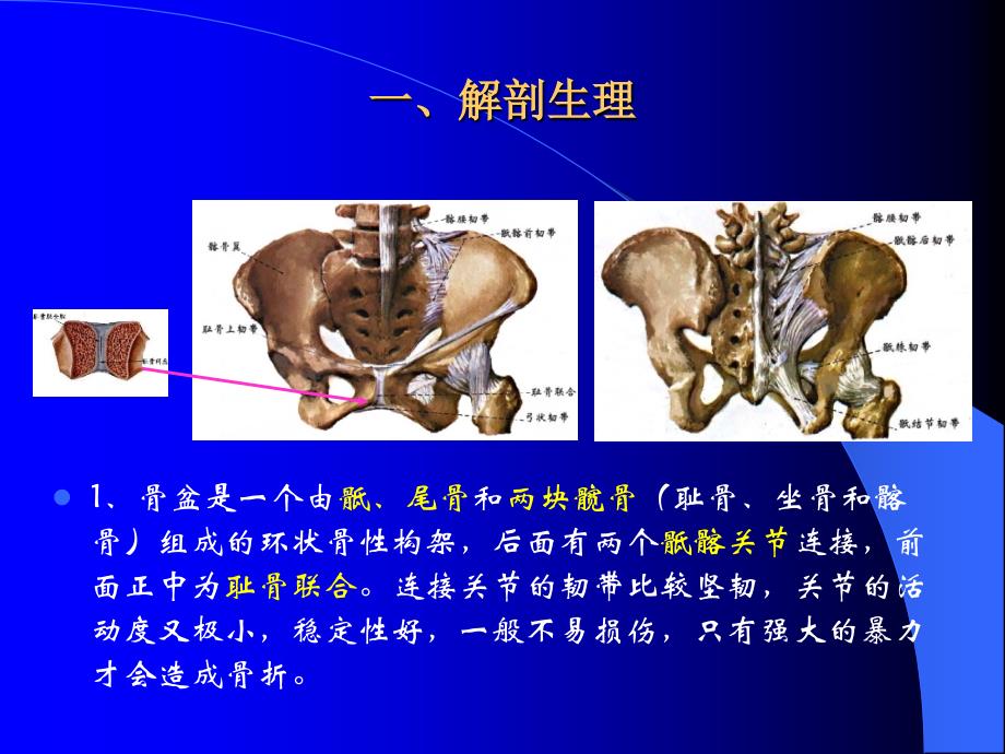 中医伤科学-骨盆骨折课件_第2页