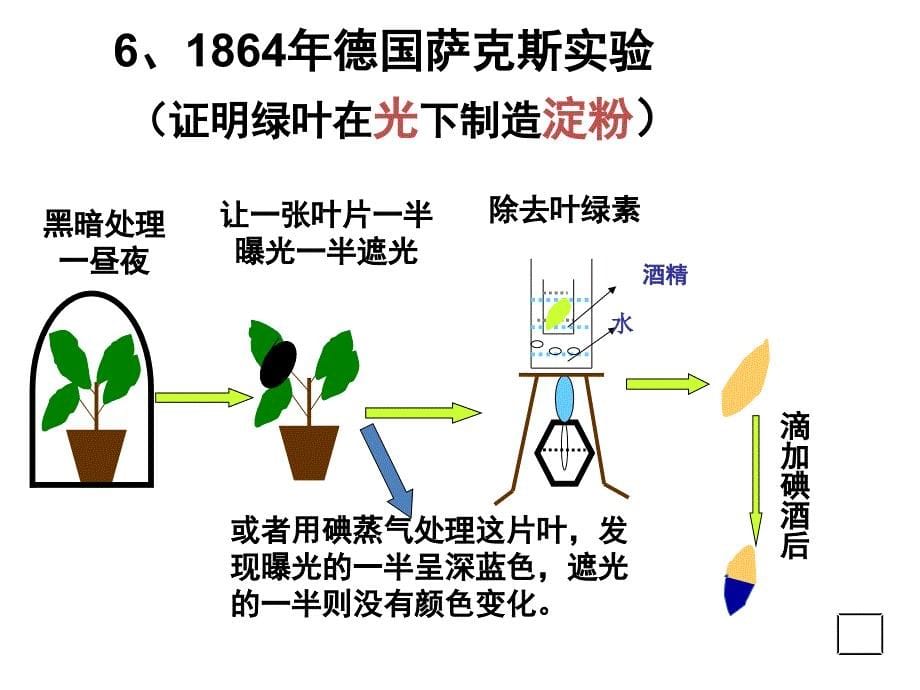 能量之源-光合作用课件-第二课时_第5页