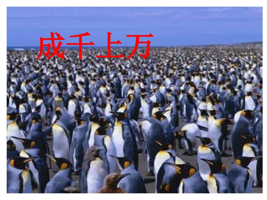 23登上企鹅岛-北京版三年级上_第3页