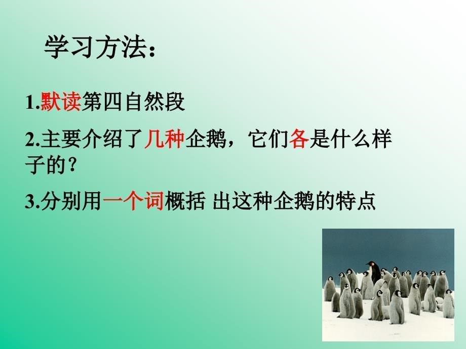 23登上企鹅岛-北京版三年级上_第5页