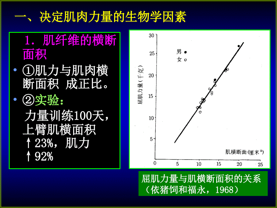 运动生理学-第2章肌肉力量素质的生理基础与训练_第3页