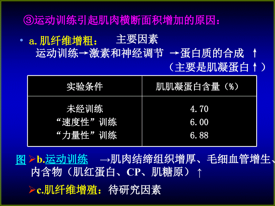 运动生理学-第2章肌肉力量素质的生理基础与训练_第4页