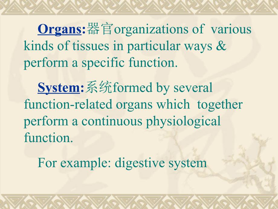 组织学与胚胎学绪论中英_第3页