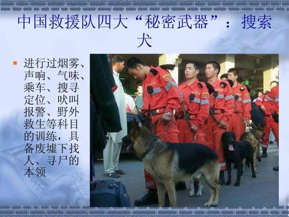 28 中国国际救援队,真棒 ppt精品课件 三年级语文下册__第4页