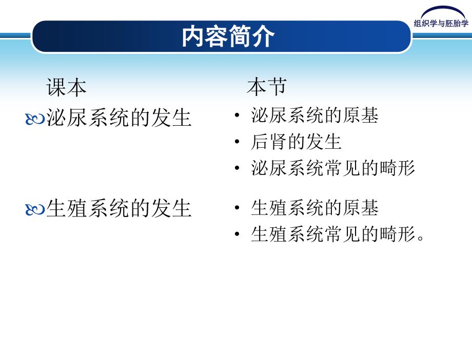 泌尿系统及生殖系统的发生_第3页