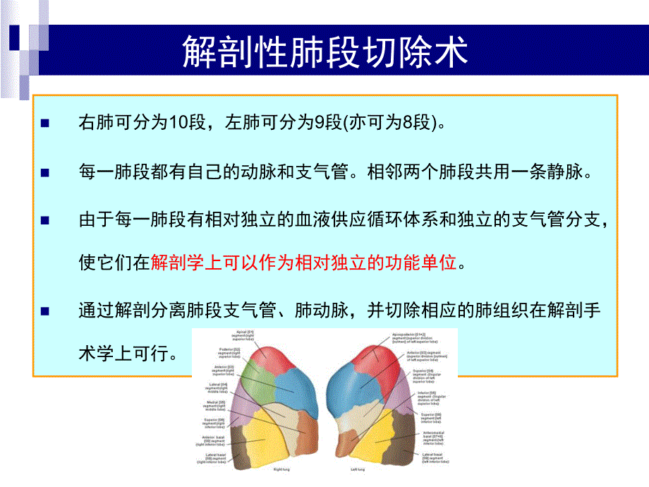 肺叶与肺段比较课件_第4页