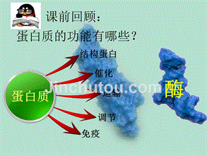 酶的作用和本质-课件