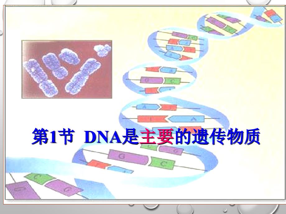 《dna是主要的遗传物质》幻灯片1_第1页