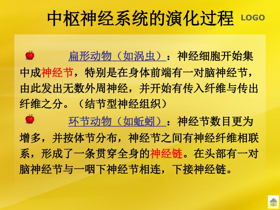 中枢神经系统的高级机能课件_第3页